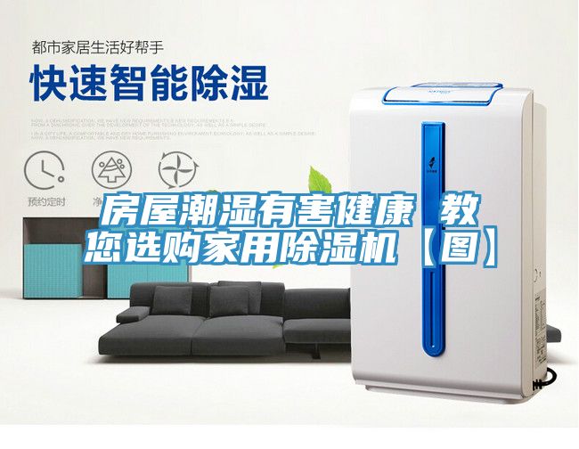 房屋潮湿有害健康 教您选购家用91免费网站在线观看【图】