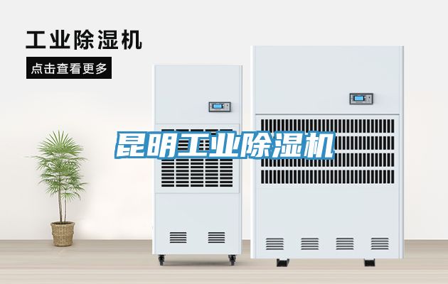 昆明工业91免费网站在线观看