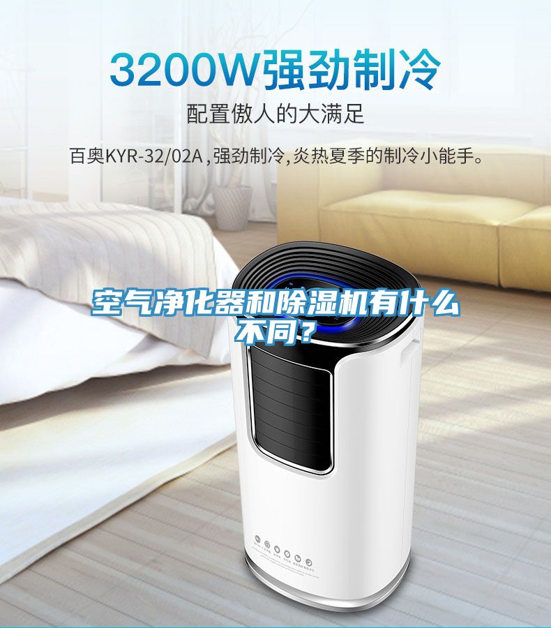 空气净化器和91免费网站在线观看有什么不同？