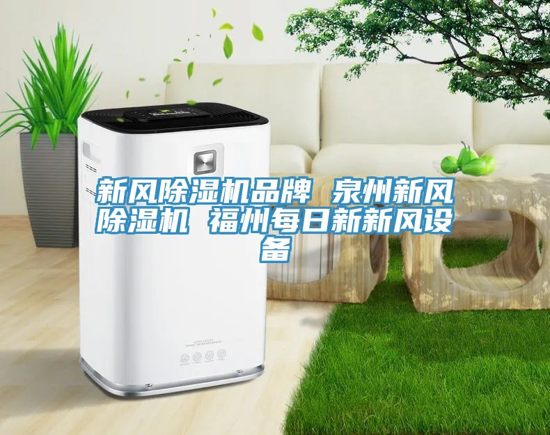 新风91免费网站在线观看品牌 泉州新风91免费网站在线观看 福州每日新新风设备