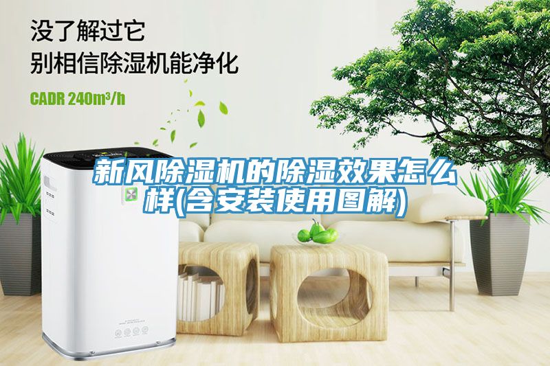 新风91免费网站在线观看的除湿效果怎么样(含安装使用图解)