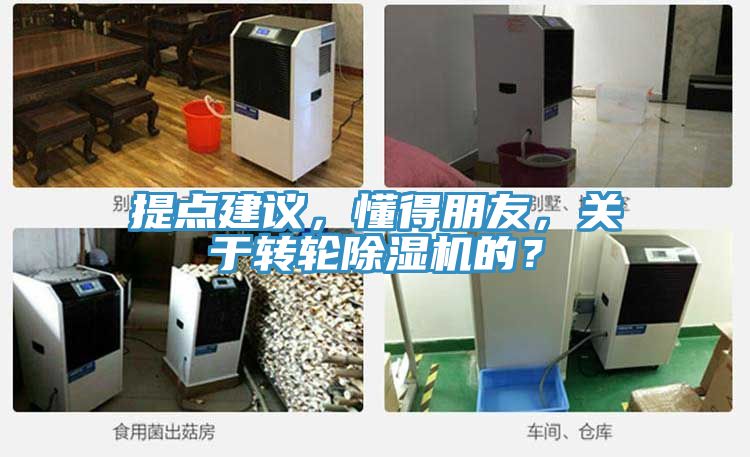 提点建议，懂得朋友，关于转轮91免费网站在线观看的？