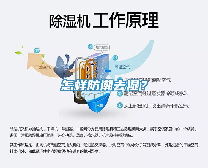 怎样防潮去湿？