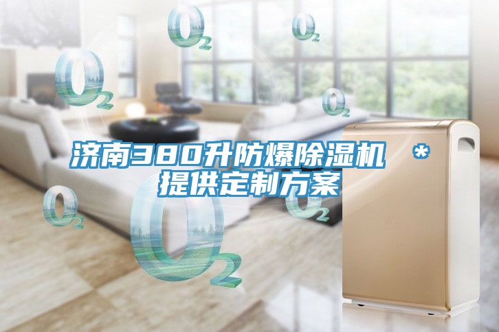 济南380升防爆91免费网站在线观看 ＊提供定制方案