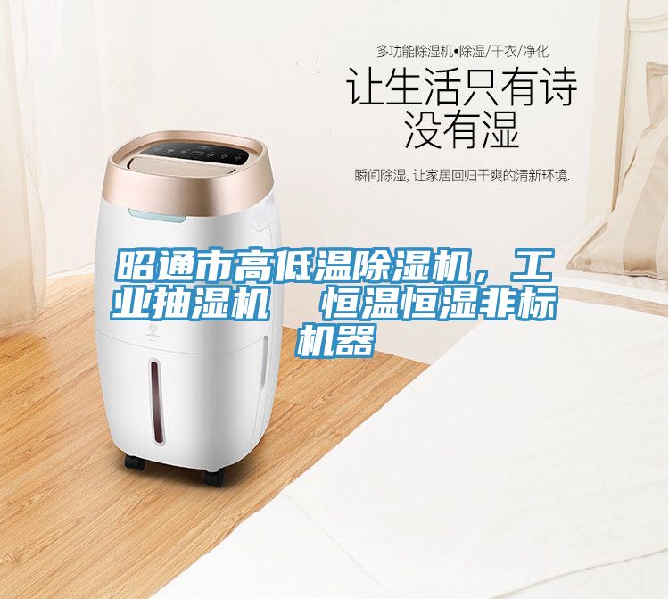昭通市高低温91免费网站在线观看，工业抽湿机  恒温恒湿非标机器