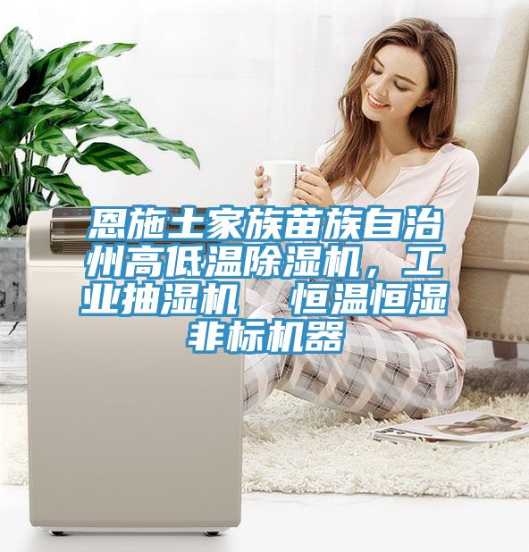 恩施土家族苗族自治州高低温91免费网站在线观看，工业抽湿机  恒温恒湿非标机器