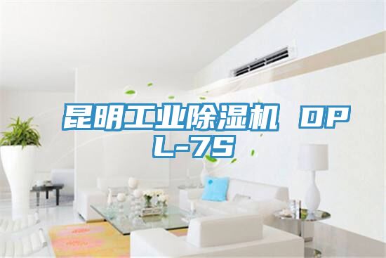 昆明工业91免费网站在线观看 DPL-7S