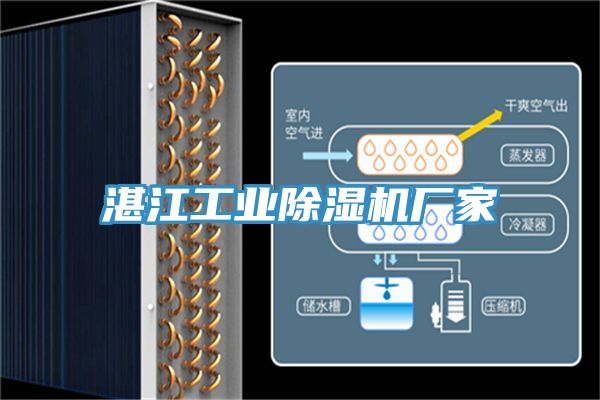 湛江工业91免费网站在线观看厂家