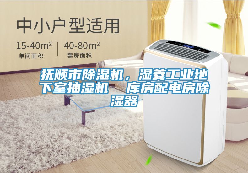 抚顺市91免费网站在线观看，湿菱工业地下室抽湿机  库房配电房除湿器