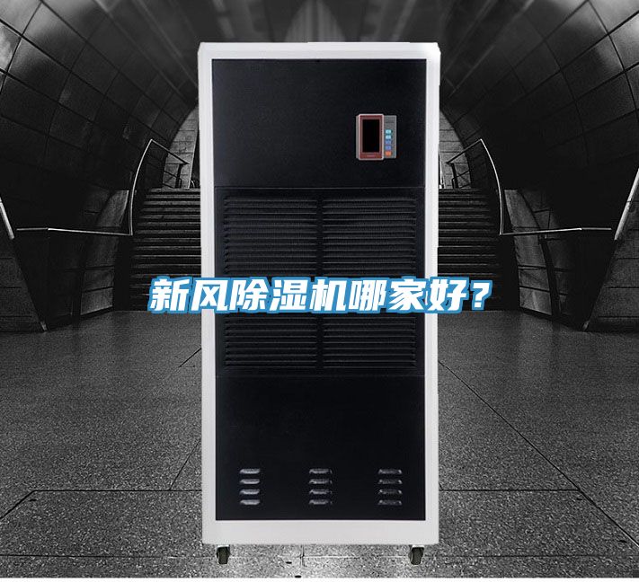 新风91免费网站在线观看哪家好？