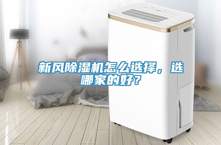 新风91免费网站在线观看怎么选择，选哪家的好？