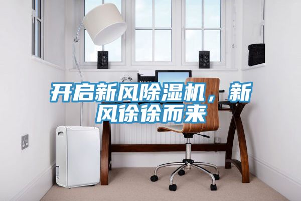 开启新风91免费网站在线观看，新风徐徐而来