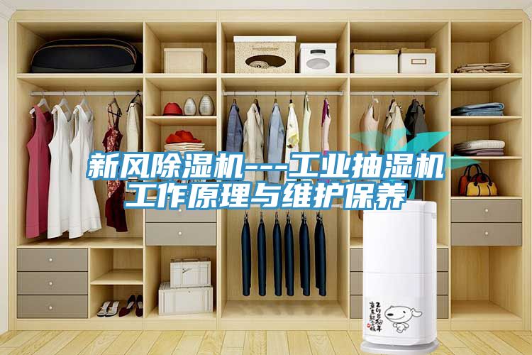 新风91免费网站在线观看---工业抽湿机工作原理与维护保养