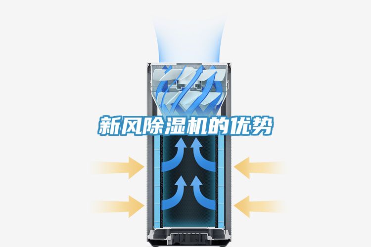 新风91免费网站在线观看的优势