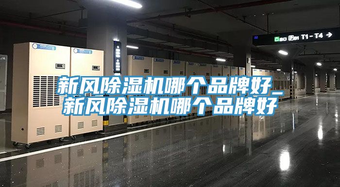 新风91免费网站在线观看哪个品牌好_新风91免费网站在线观看哪个品牌好