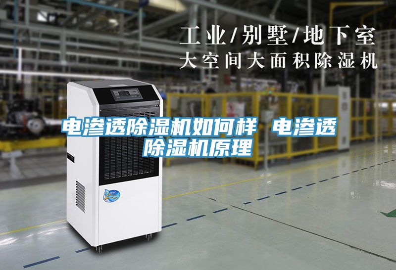 电渗透91免费网站在线观看如何样 电渗透91免费网站在线观看原理