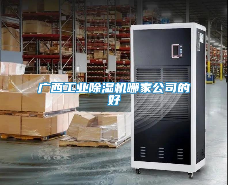 广西工业91免费网站在线观看哪家公司的好