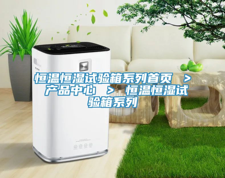恒温恒湿试验箱系列首页 ＞ 91免费网站下载 ＞ 恒温恒湿试验箱系列