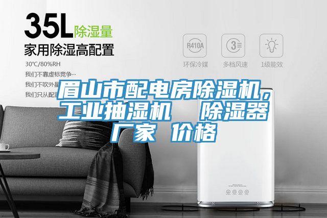 眉山市配电房91免费网站在线观看，工业抽湿机  除湿器厂家 价格