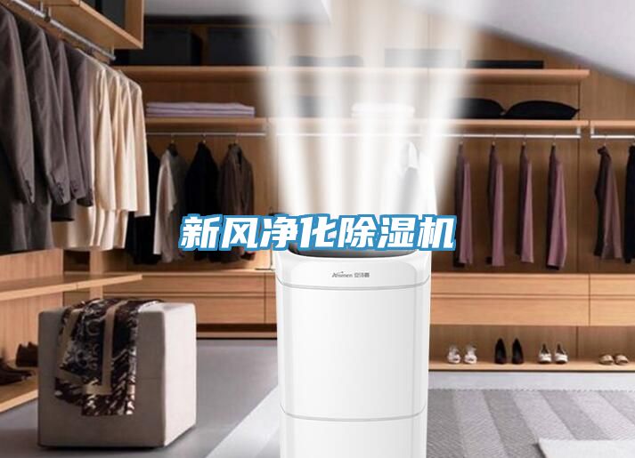 新风净化91免费网站在线观看