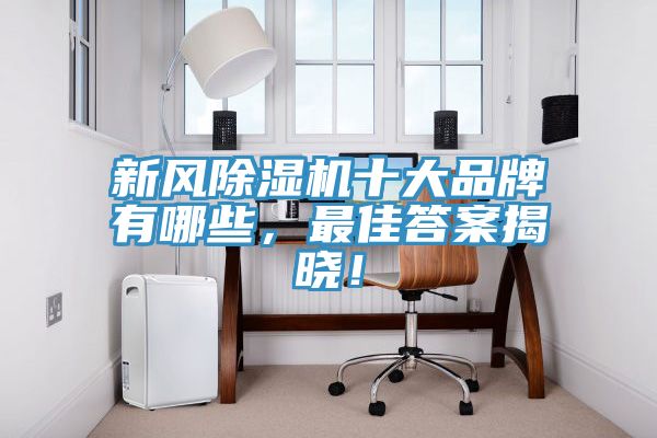 新风91免费网站在线观看十大品牌有哪些，最佳答案揭晓！