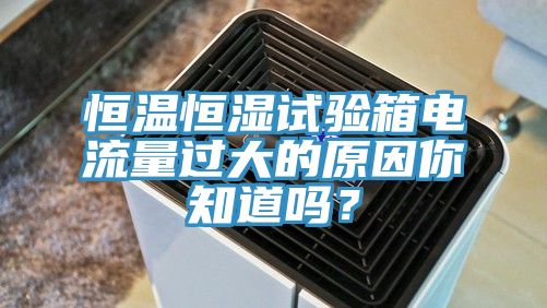 恒温恒湿试验箱电流量过大的原因你知道吗？