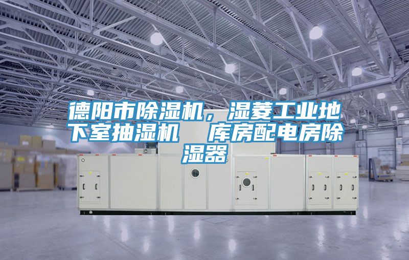 德阳市91免费网站在线观看，湿菱工业地下室抽湿机  库房配电房除湿器