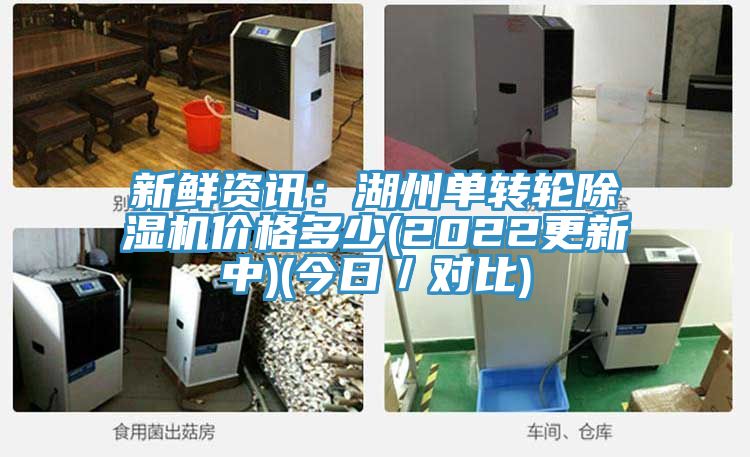 新鲜资讯：湖州单转轮91免费网站在线观看价格多少(2022更新中)(今日／对比)