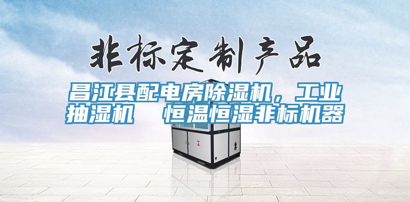 昌江县配电房91免费网站在线观看，工业抽湿机  恒温恒湿非标机器
