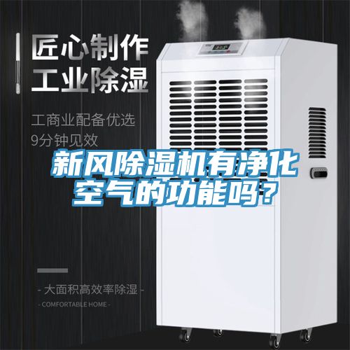 新风91免费网站在线观看有净化空气的功能吗？