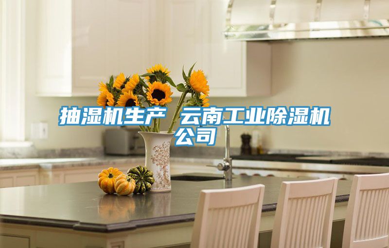 抽湿机生产 云南工业91免费网站在线观看公司