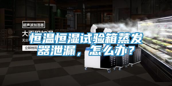 恒温恒湿试验箱蒸发器泄漏，怎么办？