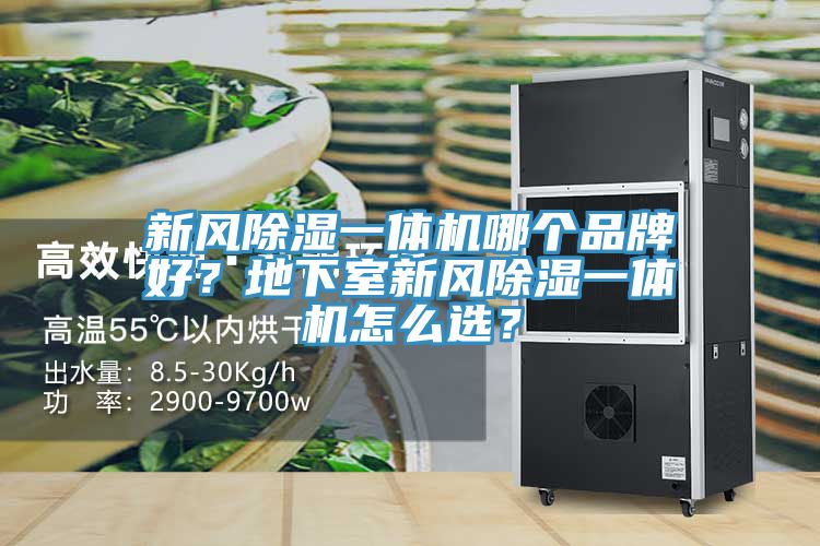 新风除湿一体机哪个品牌好？地下室新风除湿一体机怎么选？