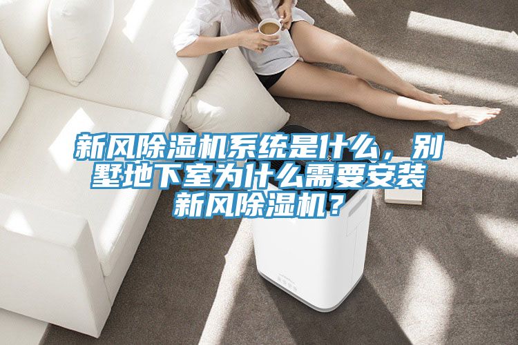 新风91免费网站在线观看系统是什么，别墅地下室为什么需要安装新风91免费网站在线观看？