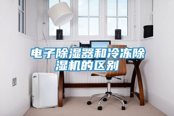 电子除湿器和冷冻91免费网站在线观看的区别