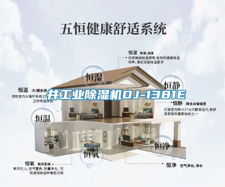 東井工业91免费网站在线观看DJ-1381E
