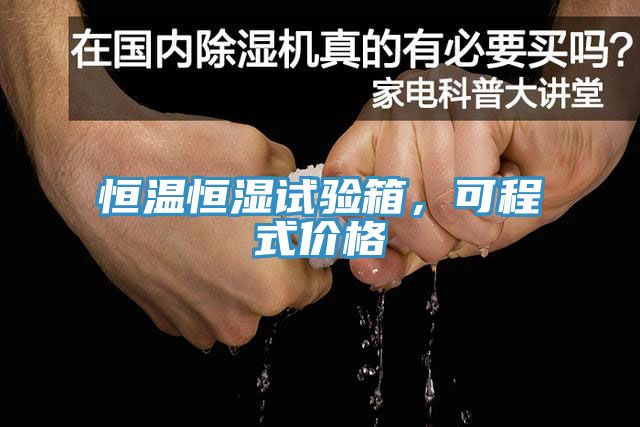 恒温恒湿试验箱，可程式价格