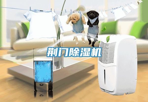荆门91免费网站在线观看