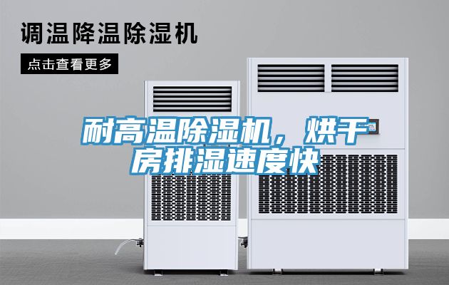 耐高温91免费网站在线观看，烘干房排湿速度快