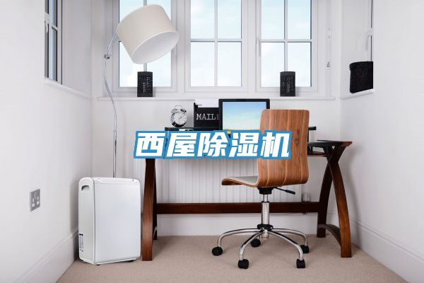 西屋91免费网站在线观看