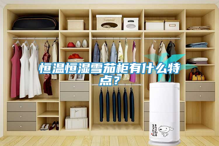 恒温恒湿雪茄柜有什么特点？