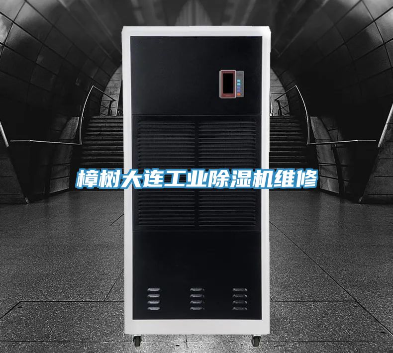 樟树大连工业91免费网站在线观看维修