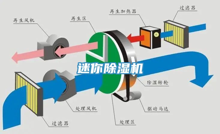 迷你91免费网站在线观看