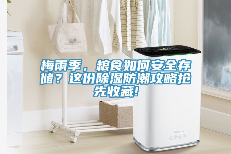 梅雨季，粮食如何安全存储？这份除湿防潮攻略抢先收藏!