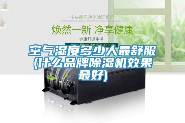 空气湿度多少人最舒服(什么品牌91免费网站在线观看效果最好)