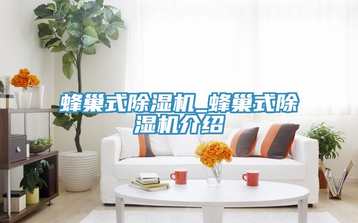 蜂巢式91免费网站在线观看_蜂巢式91免费网站在线观看介绍