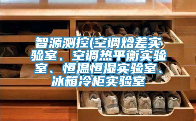 智源测控(空调焓差实验室、空调热平衡实验室、恒温恒湿实验室、冰箱冷柜实验室