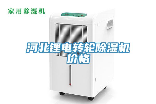 河北锂电转轮91免费网站在线观看价格
