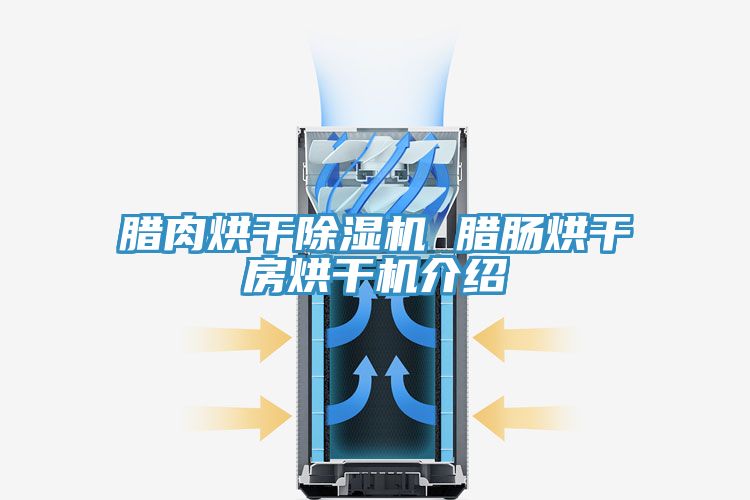 腊肉烘干91免费网站在线观看 腊肠烘干房烘干机介绍