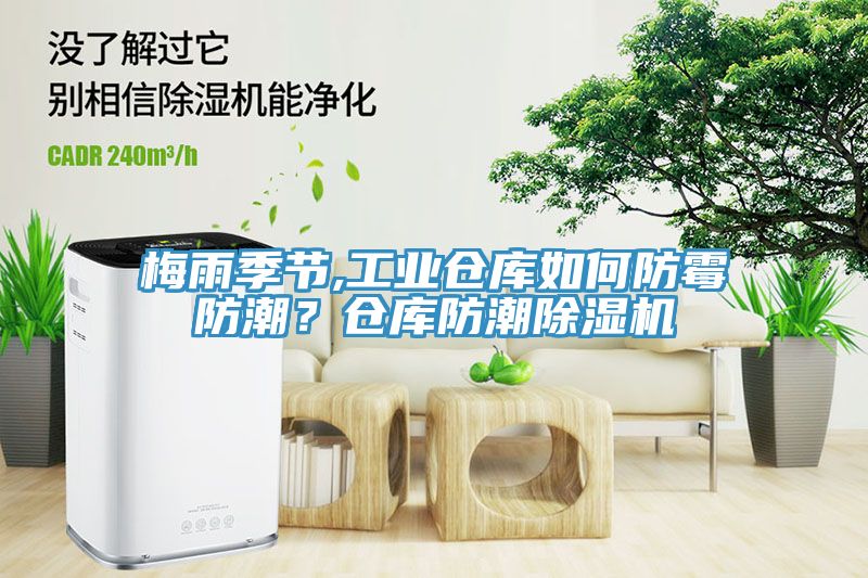 梅雨季节,工业仓库如何防霉防潮？仓库防潮91免费网站在线观看